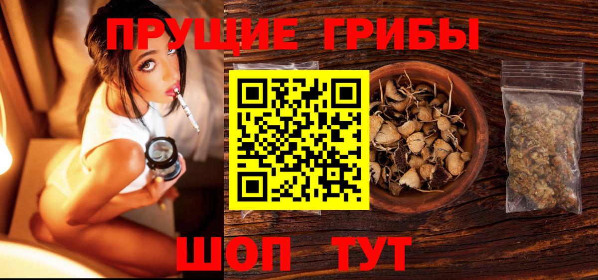 Псилоцибиновые грибы Psilocybine cubensis Дмитров