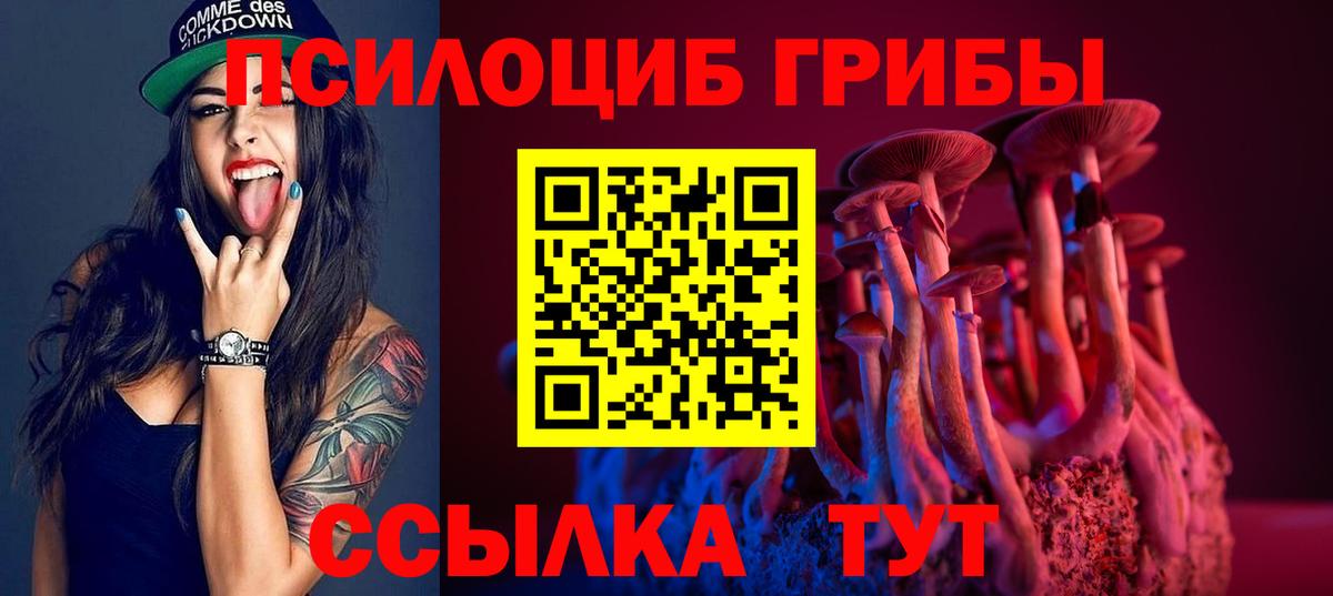 Дмитров  Галлюциногенные грибы GOLDEN TEACHER  Вход с VPN  наркота  Галлюциногенные грибы Psilocybine cubensis 